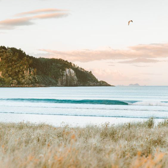 THINGS TO DO THIS LABOUR WEEKEND